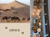 Happy Lights Sahara 20 palloa